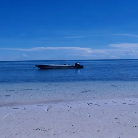 Anda White Beach Resort