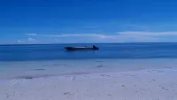 Anda White Beach Resort - Ocean View