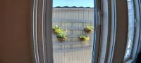 Little Barrel - Romantic
