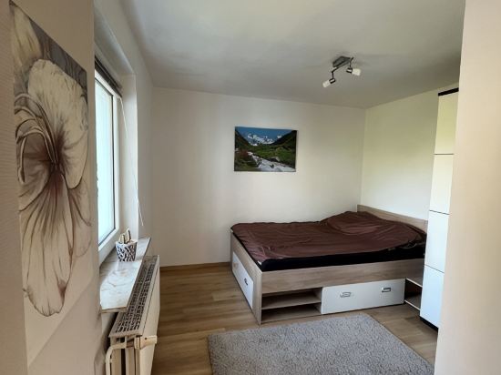 Cozy 1-room apartment