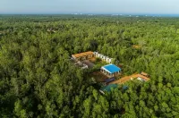 Paradise Auro Jungle Resort