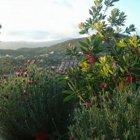 houses / villas - 3 rooms - 4/5 persons