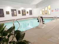 Comfort Inn Near Downtown & Blue Ridge Pkwy - piscine