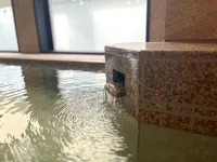 Second Inn Hanazono Natural Hot Springs Hana Hotel - Hot Springs