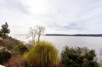 Amazing Sound View - Guest House - 4-Star