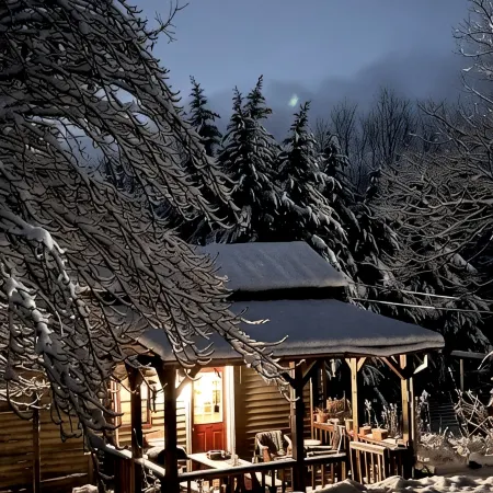 Zen Mountain Cabin: Forest-Bathing & Private Waterfall in Wine Country