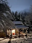 Zen Mountain Cabin: Forest-Bathing & Private Waterfall in Wine Country - 2-Star