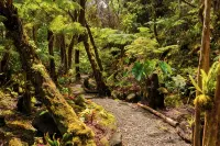 火山藝術家小屋飯店 - 3 星級