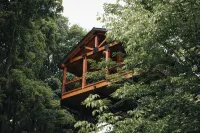 Luxury Treehouse Cabin over Salt Creek - Cabin 1 - Boutique