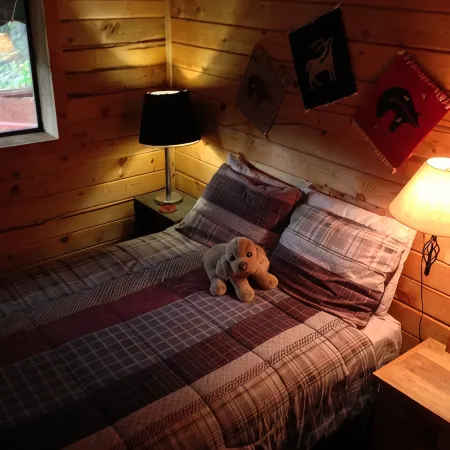 Deer Creek Cabin - a Log Cabin in the Rockies of Colorado!