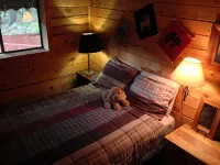 Deer Creek Cabin - a Log Cabin in the Rockies of Colorado! - Chalets
