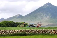 Ballykeel Farm, Mourne Mountains - Haustierfreundliche