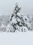 'The Hideaway' - Tucked in the Beautiful Wet Mountain Valley. - 3-Star