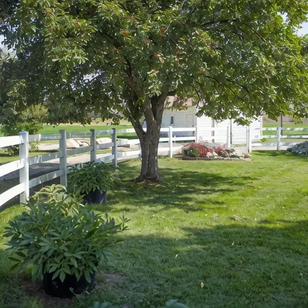 The Old Farmstead