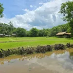 Ahsa Farmstay - con vista montagne