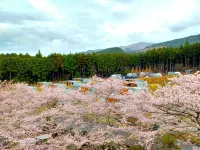 Fujino Kirameki Fujigotemba - Boutique