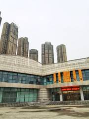 Tianfu Sichuan Jinrong Museum