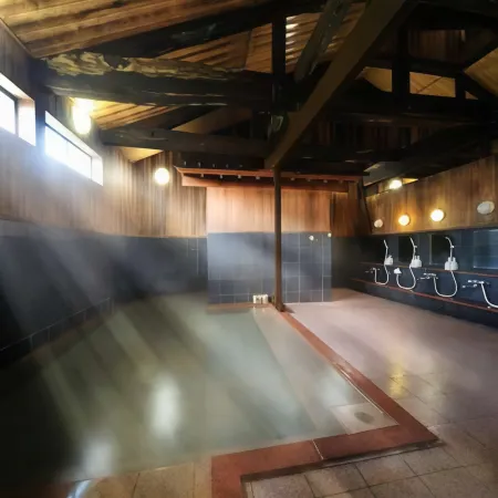 Moritake Onsen Hotel Отели в г. Митане