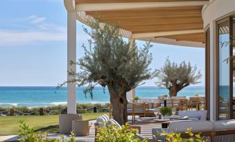 a patio area with white chairs and tables , overlooking the ocean , under a canopy with an olive tree at Ikos Andalusia