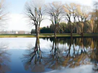 Chalet of Canandaigua Hotels in Canandaigua