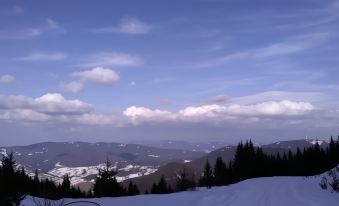 Ski Villa in Pamporovo Forest