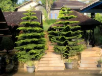 Omah Gunung Garut Hotel dekat Awit Sinar Alam Darajat Garut