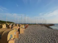 Ferienhaus Nahe Ostsee Und Wald