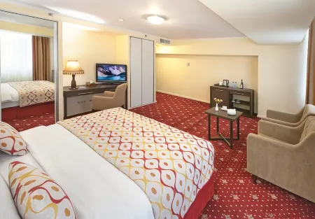 Ani Plaza Hotel