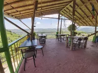 Hostal y Camping Los Girasoles - Хостел