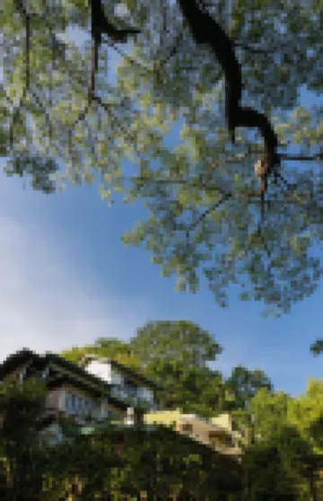 格林伍德埃奇康提