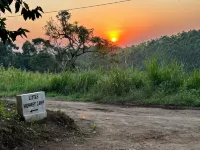 Little Monkey Camp