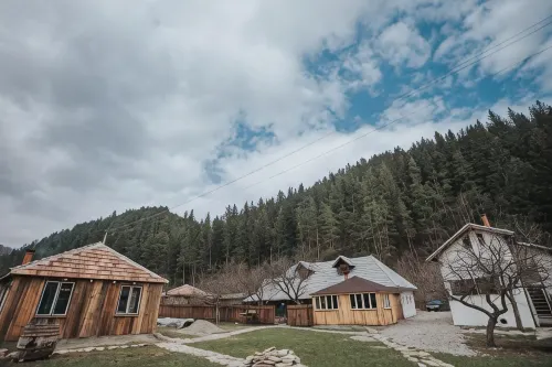 Gospodaria Lui Nea Ion - Villas