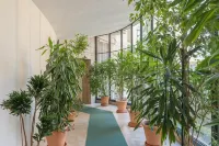 Milan Retreats Navigli