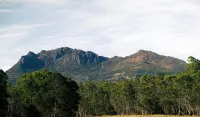 Wilder Tasmania Hotels in Moina