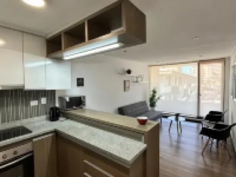 卡斯特隆176公寓酒店 康塞普西翁酒店