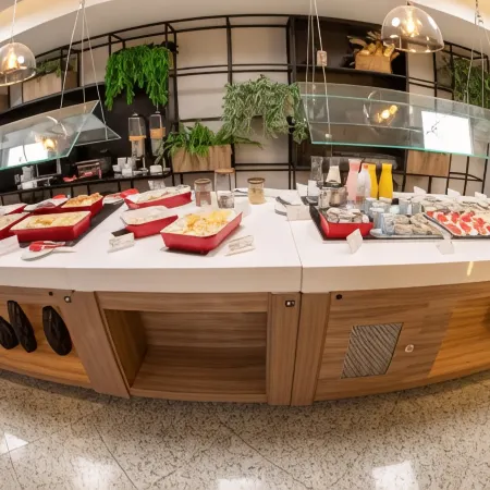 Summit Hotel Monaco