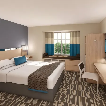 Microtel Inn & Suites by Wyndham Lynchburg