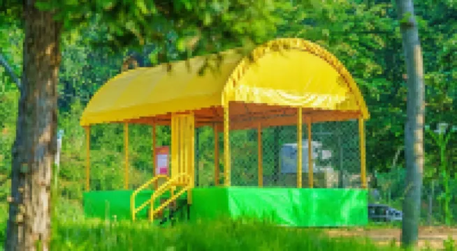 Seocheon Paintree Glamping