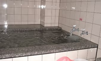 Ibusuki Minshuku Sennarisou