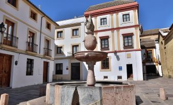 Apartamentos Plaza