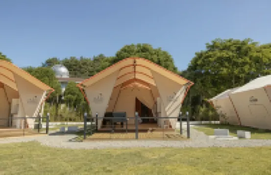 Daebudo Glam Forest Daebudo