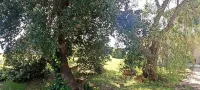 Pepe Apartment: Peace and Relaxation in the Maremma countryside.