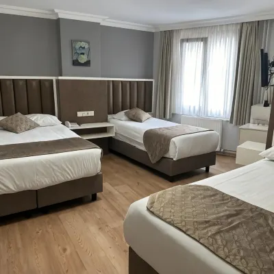 Hotel Sureyya Hotels near Laleli