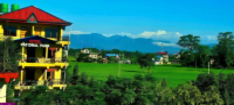 Hotel National Park Sauraha- Homely Stay and Peaceful Location with Jungle Safari Arrangements