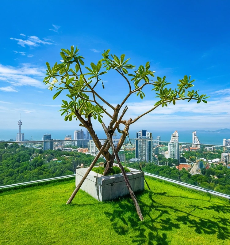 รูปภาพของSkyline Serenity by Mountain Park