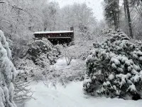 APPsolute Heaven- A 4 Season Mountain Retreat