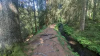Time to recover! Cozy vacation apartment in the green Harz Mountains! - Wifi