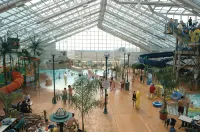 Americana Waterpark Resort & Spa - Resorts
