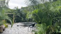 Fengling Shenxuan Tourism Homestay
