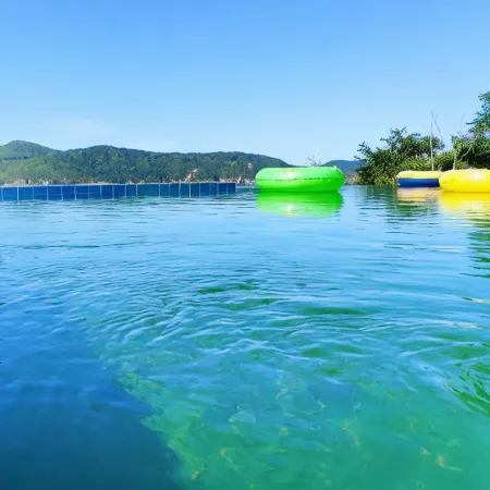 Taohua Island An Qi Sheng Shan Ju Shu